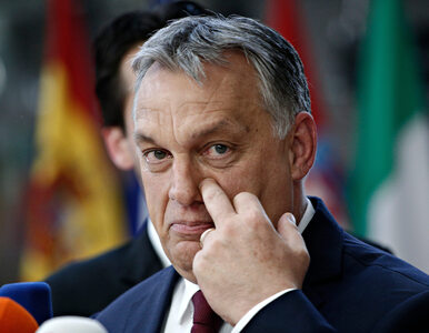 Miniatura: Czego obawia się Orban? „Cała Europa zsuwa...