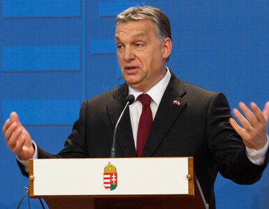 Miniatura: Orban zapłacił, by namawiać Brytyjczyków...