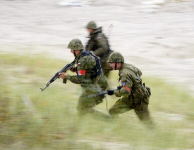 Miniatura: Żołnierze zrobili wrażenie na Tusku