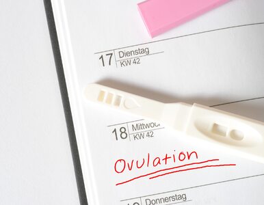 Miniatura: Test owulacyjny pomaga zajść w ciążę. Jak...
