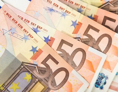 Miniatura: UE wyda w przyszłym roku 122 miliardy euro