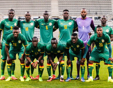 Miniatura: MŚ 2018: Reprezentacja Senegalu - opis...
