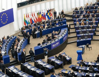 Miniatura: Wybory do Parlamentu Europejskiego. PiS...