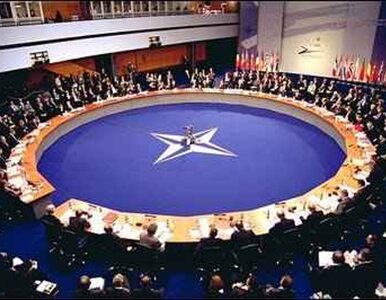 Miniatura: NATO zaatakowane i okradzione? "Nie...
