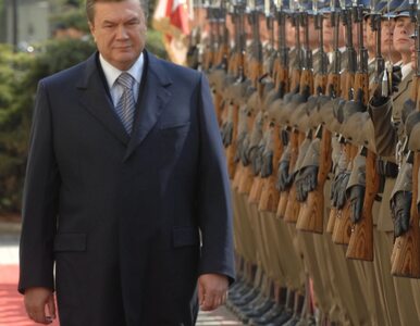 Miniatura: Janukowycz przedstawił kandydatów na premiera