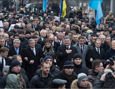 Miniatura: Marsz Godności w Kijowie