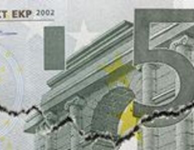 Miniatura: Europejski Bank Centralny nie wie o...