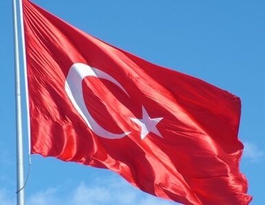 Miniatura: Turcja: rząd rzuci wojsko przeciw...