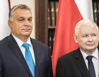 Miniatura: Prezes PiS o relacjach z Węgrami....