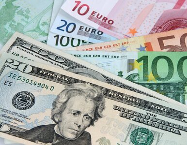 Miniatura: Euro i dolar od miesięcy nie były tak...