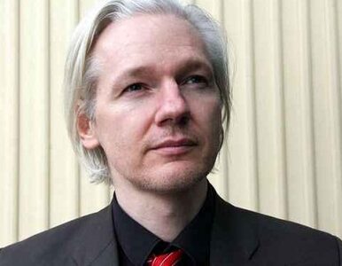 Miniatura: Assange wygłosi oświadczenie przed...