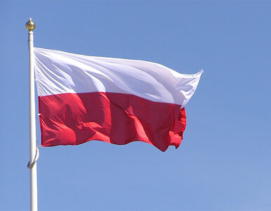 Miniatura: Polska wysłała odpowiedź Komisji Weneckiej