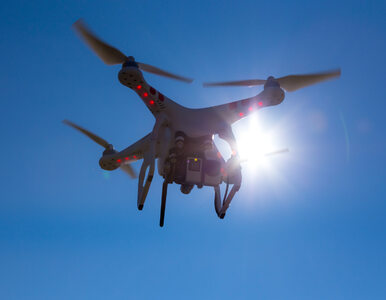Miniatura: Lasek o incydencie z dronem: Naruszono...