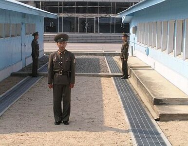 Miniatura: Seul: zbombardujemy Koreę Północną, jeśli...