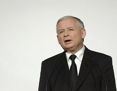 Miniatura: Kaczyński: kto dzieli prawicę, podnosi...