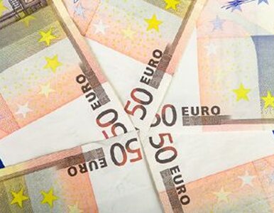 Miniatura: Do wprowadzenia euro potrzeba zmian w...