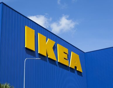 Miniatura: IKEA ma nowego prezesa w Polsce. „Mamy...
