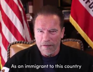 Miniatura: Schwarzenegger szturm na Kapitol porównał...