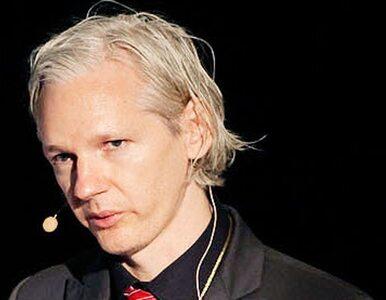 Miniatura: Władze USA ostrzegają WikiLeaks:...