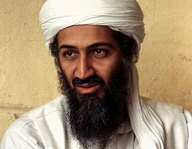 Miniatura: Katastrofa samolotu rodziny Bin Ladena....