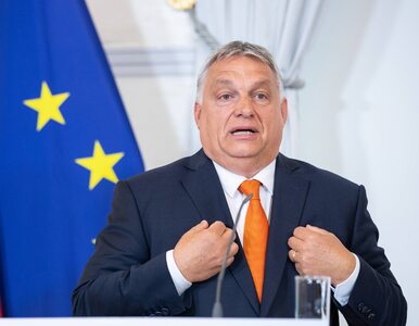 Miniatura: Orban ma nietypowy problem. Ekspertka: Od...