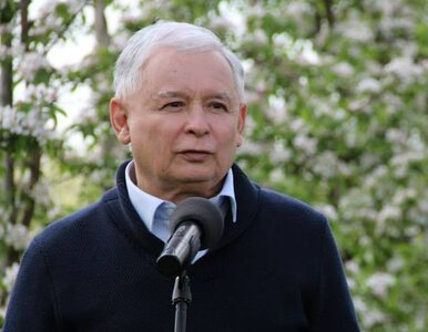 Miniatura: Kaczyński: Ten rząd, a premier w...