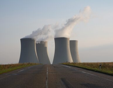 Miniatura: Kiedy powstanie elektrownia jądrowa w Polsce?