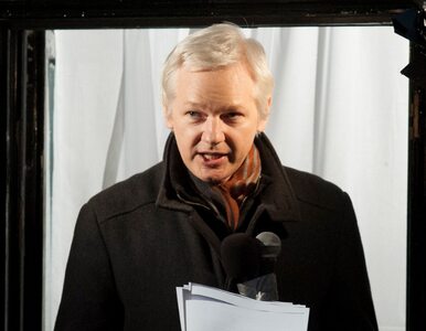 Miniatura: Dokumenty WikiLeaks "dotkną każdy kraj...