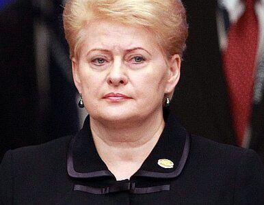 Miniatura: "Prezydent Litwy brakuje subtelności, ona...