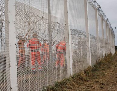 Miniatura: Ataki na polskich kierowców w Calais....