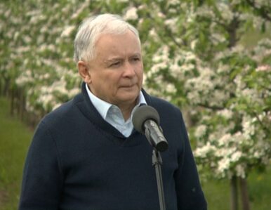 Miniatura: Kaczyński: Niemieckie pieniądze na partię...