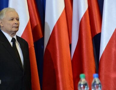 Miniatura: Kaczyński: Palikot chce obalić rząd, bo...