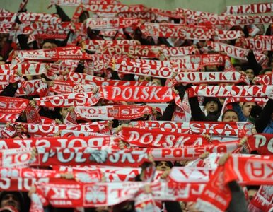 Miniatura: Polska - Portugalia 0:0. Debiut Narodowego...