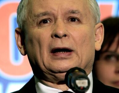 Miniatura: Kaczyński: ja przed Trybunał? Z radością