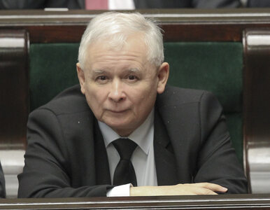 Miniatura: Kaczyński: Spór wokół katastrofy...