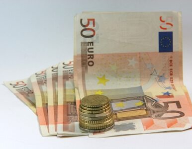 Miniatura: Strefa euro będzie miała własny budżet?