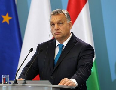 Miniatura: Fidesz opuści EPL? Partia Viktora Orbana...