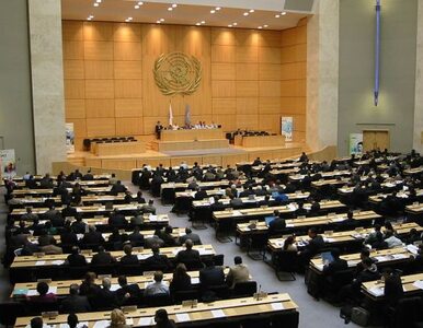 Miniatura: Nie ma większości w RB ONZ za państwem...