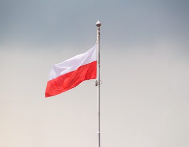 Miniatura: Koniec z Dniem Flagi Rzeczpospolitej...