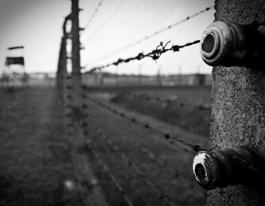 Miniatura: Z Auschwitz uciekli kabrioletem SS