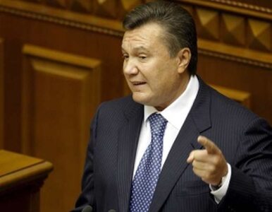 Miniatura: Janukowycz na zjeździe Jednej Rosji