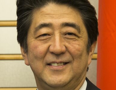 Miniatura: Premier Japonii dalej szefem PLD