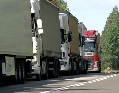 Miniatura: Białoruskie i rosyjskie ciężarówki nie...