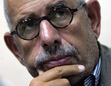 Miniatura: Egipt: ElBaradei już nie chce być...