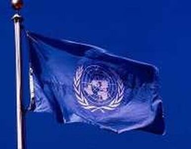 Miniatura: ONZ żąda zawieszenia broni w Strefie Gazy
