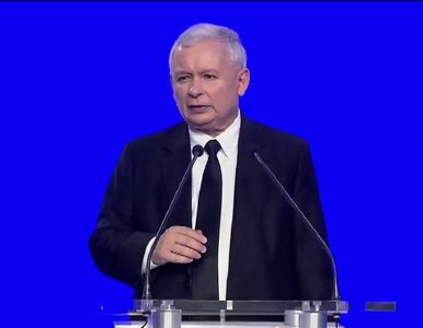 Miniatura: Kaczyński: Obchody powstania były wątłe...