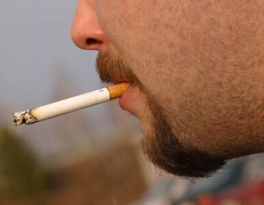 Miniatura: Senat zaostrzy zakaz palenia?