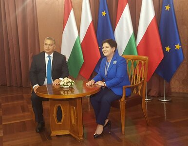 Miniatura: Orban po spotkaniu z premier Szydło: Nie...