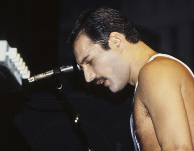 Miniatura: Freddie Mercury na niepublikowanym...