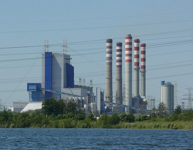 Miniatura: Solorz i Sołowow inwestują w elektrownię...
